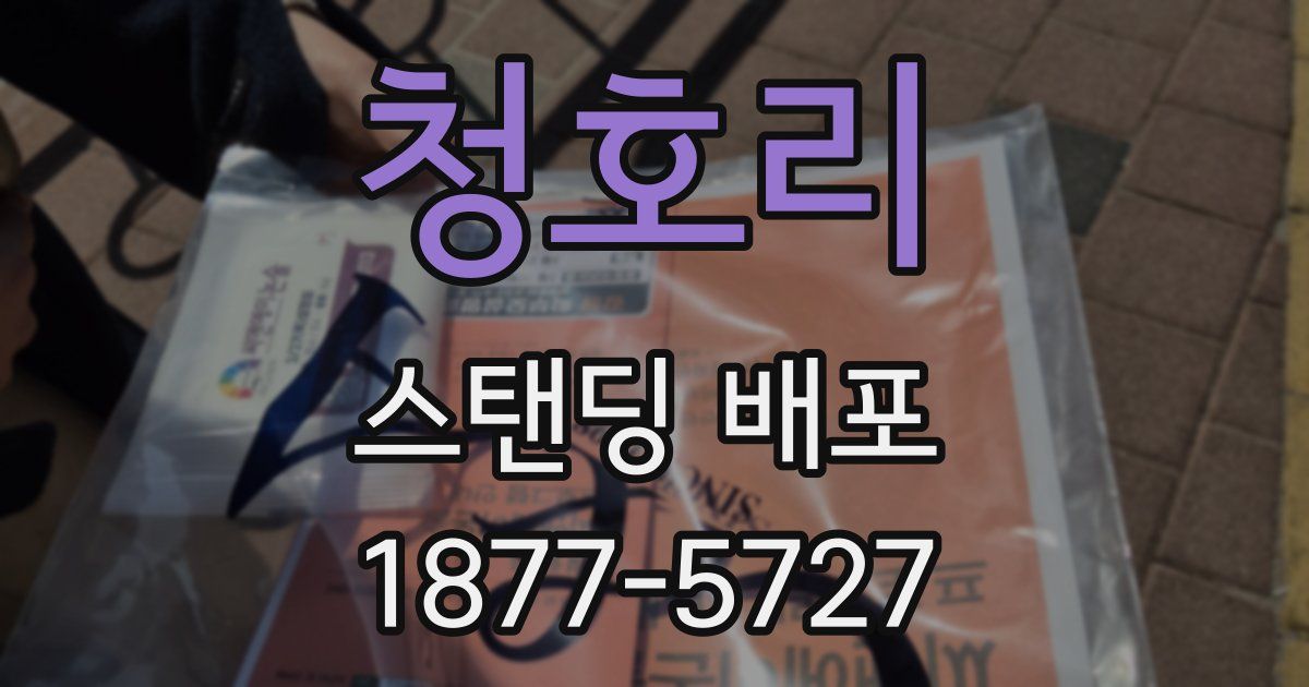 청호리 스탠딩 배포