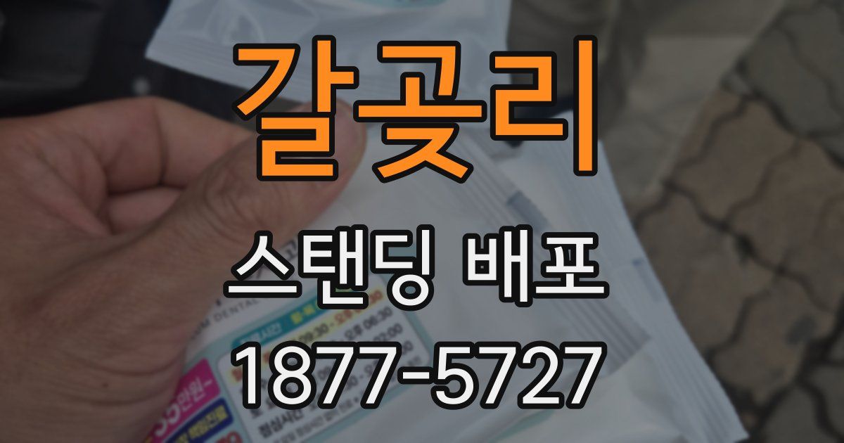 갈곶리 스탠딩 배포