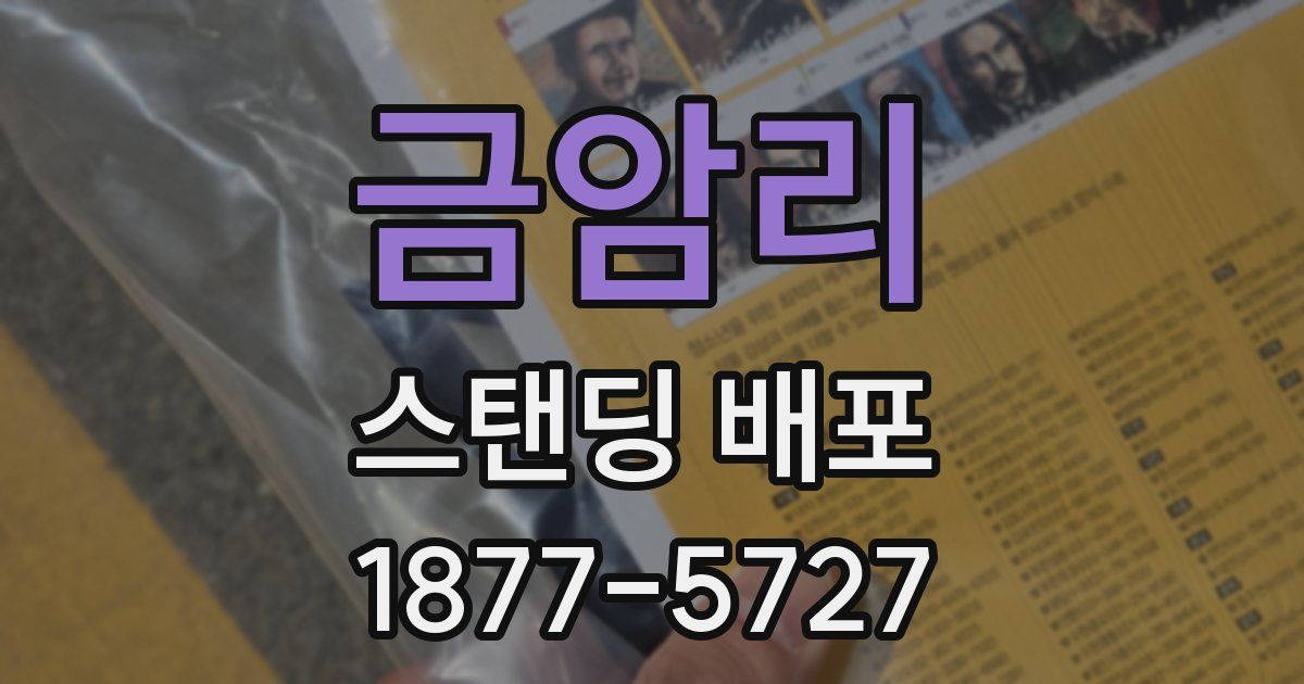 금암리 스탠딩 배포