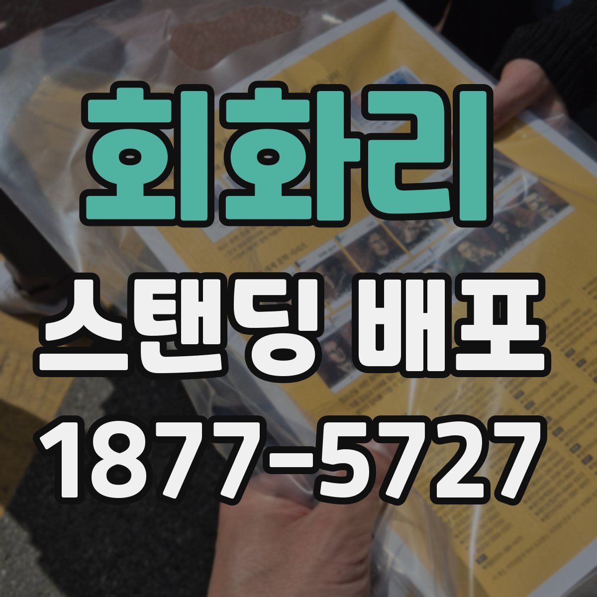 회화리 스탠딩 배포