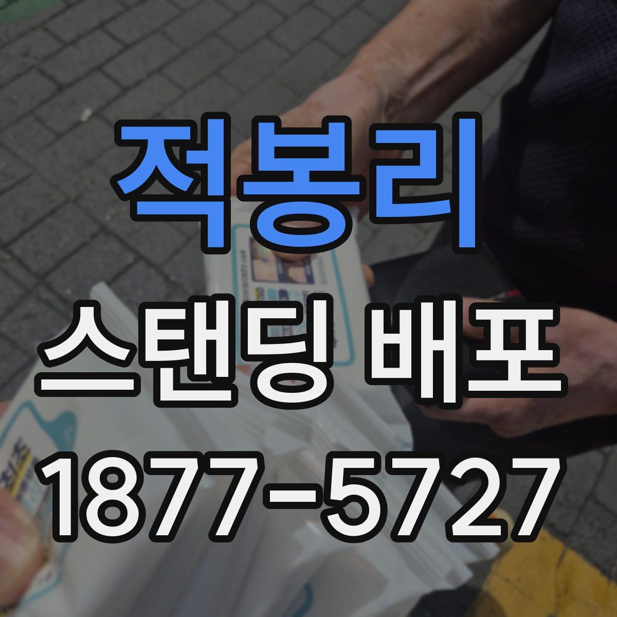 적봉리 스탠딩 배포
