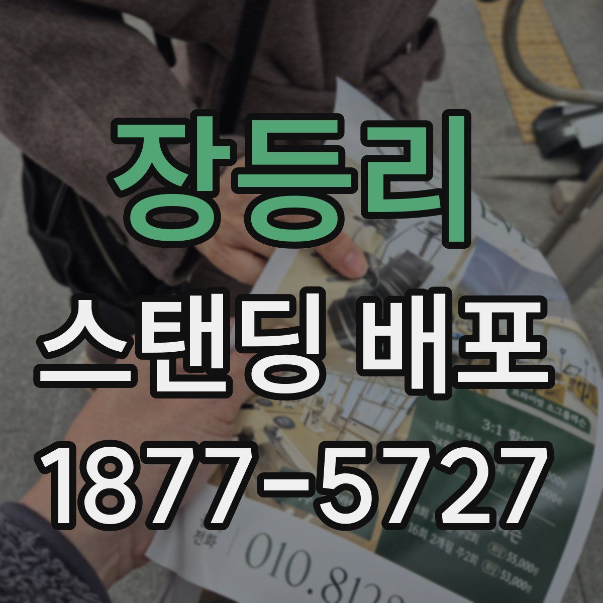 장등리 스탠딩 배포
