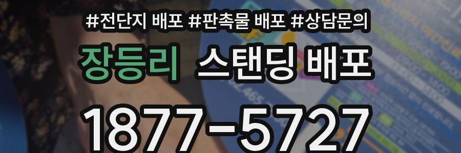 장등리 스탠딩 배포