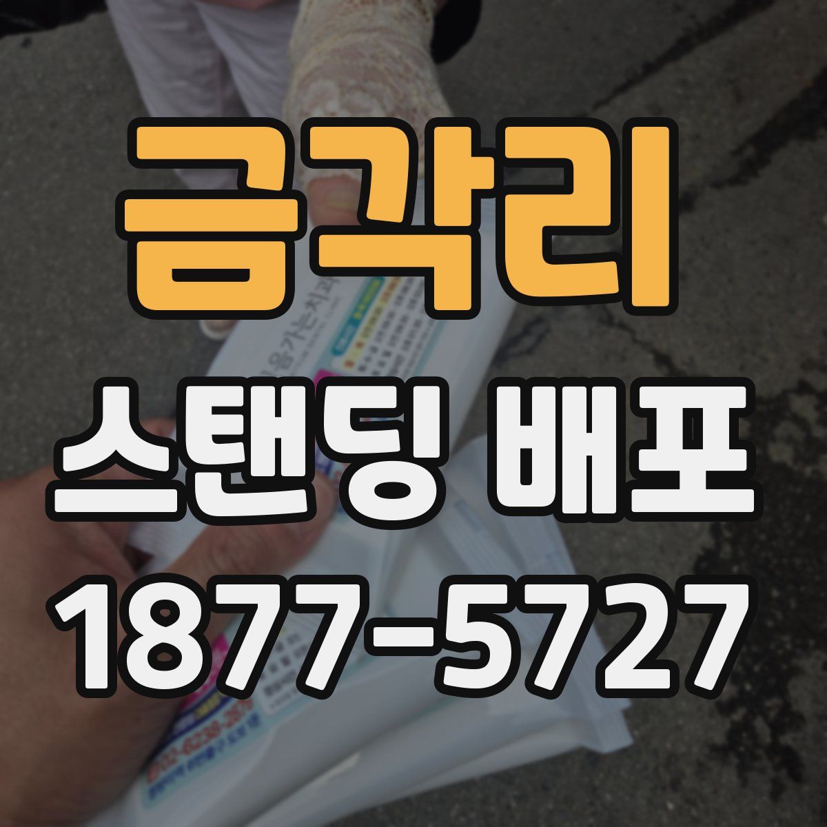 금각리 스탠딩 배포