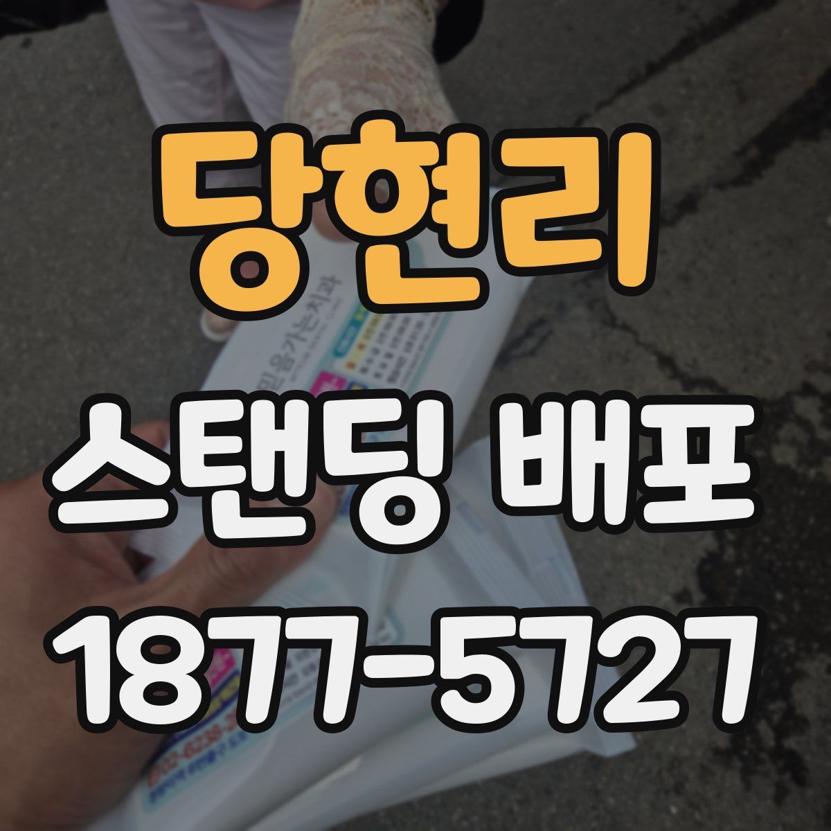 당현리 스탠딩 배포