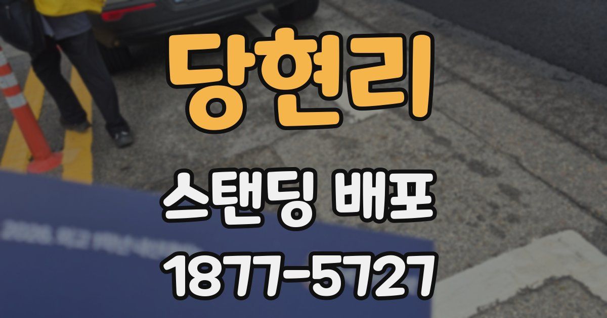 당현리 스탠딩 배포