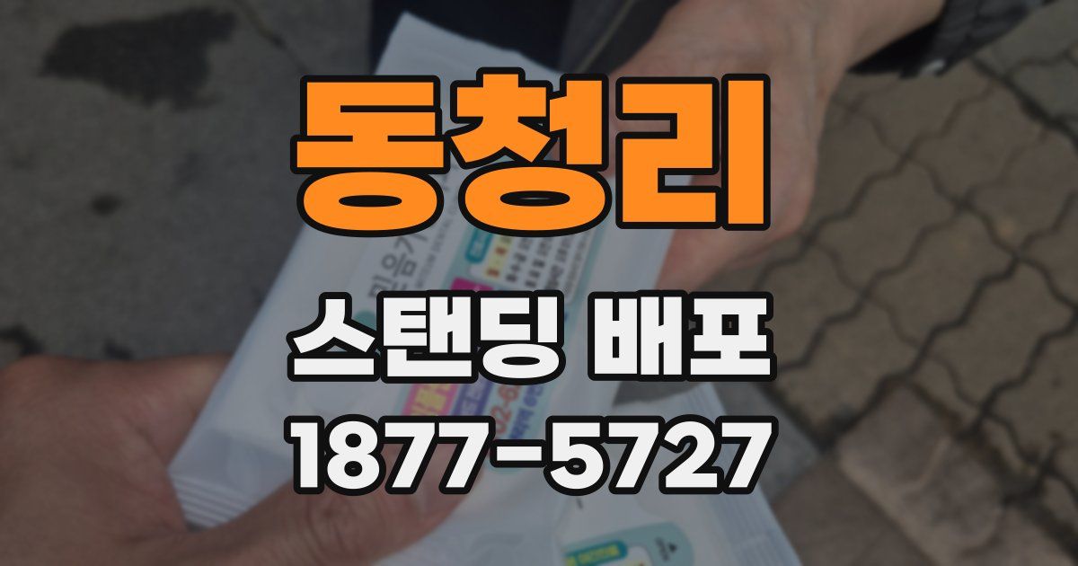 동청리 스탠딩 배포
