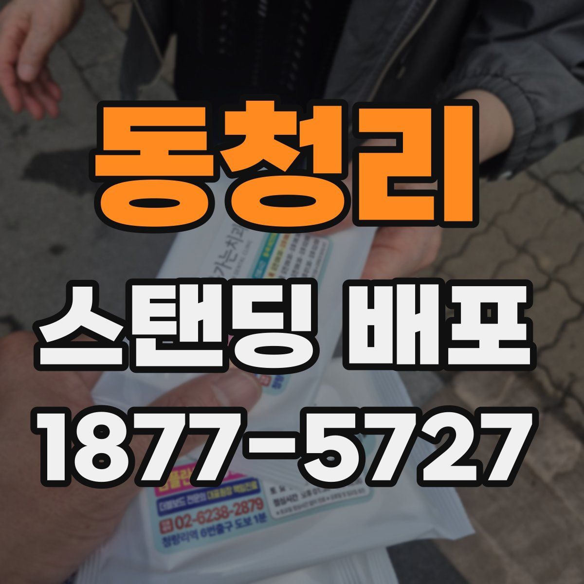 동청리 스탠딩 배포
