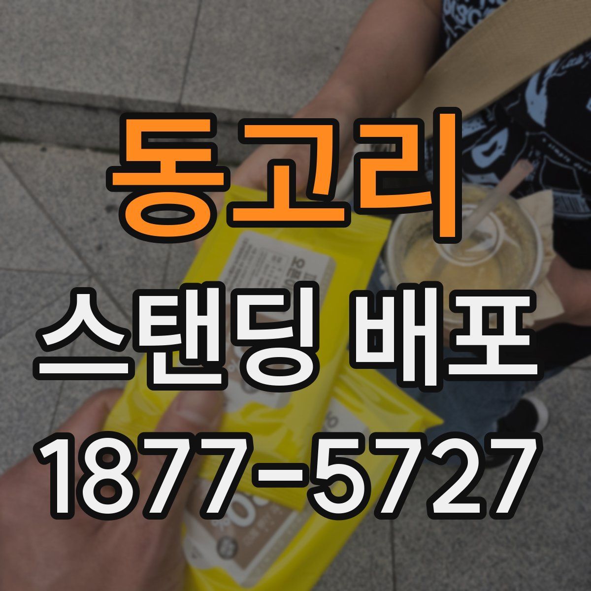 동고리 스탠딩 배포