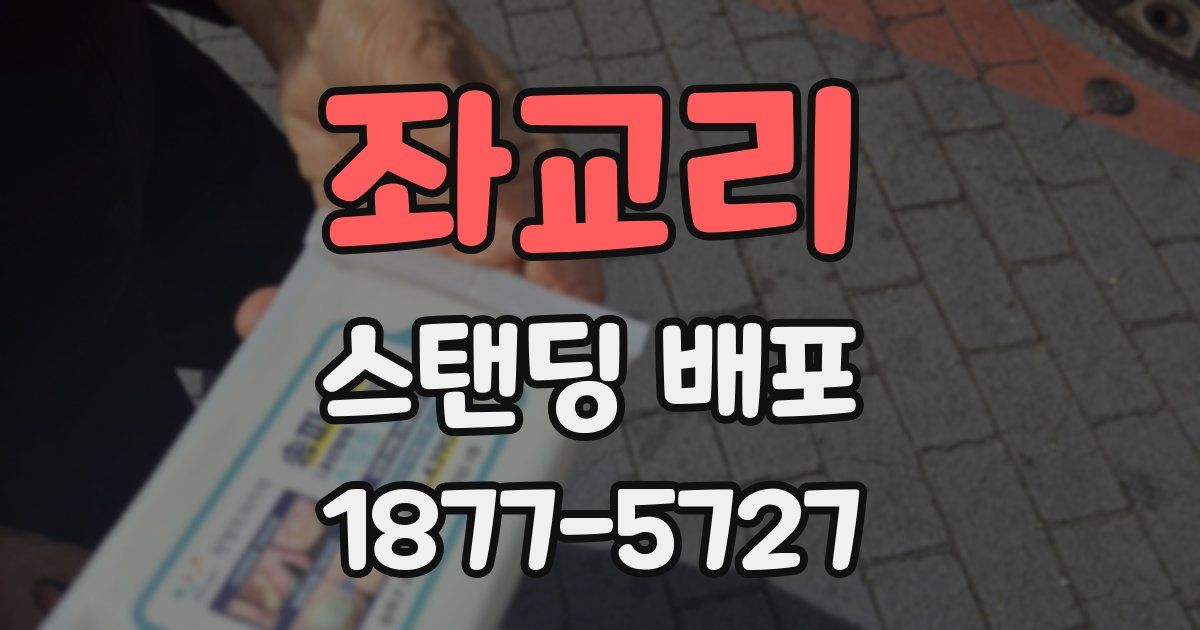 좌교리 스탠딩 배포