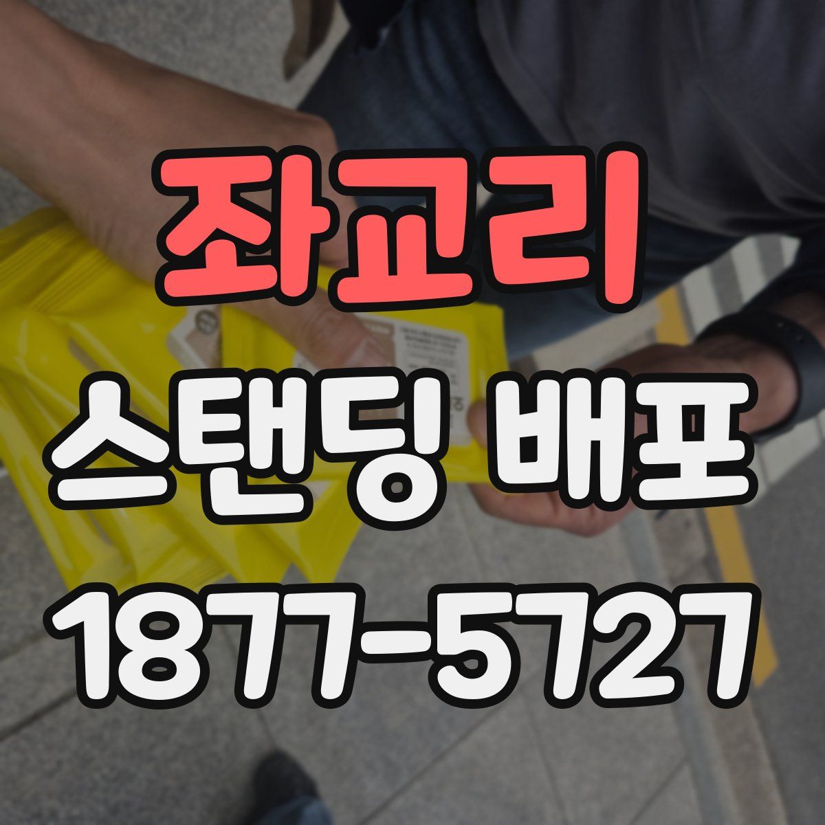 좌교리 스탠딩 배포
