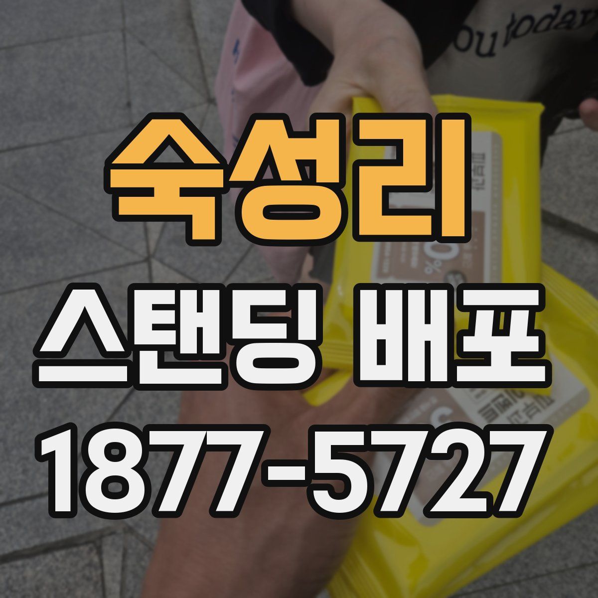 숙성리 스탠딩 배포