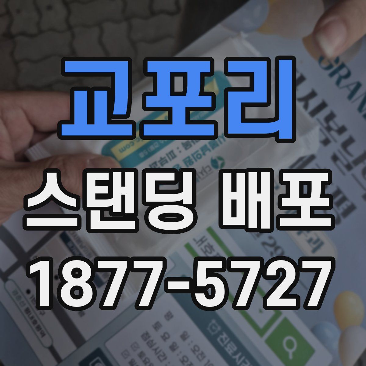 교포리 스탠딩 배포