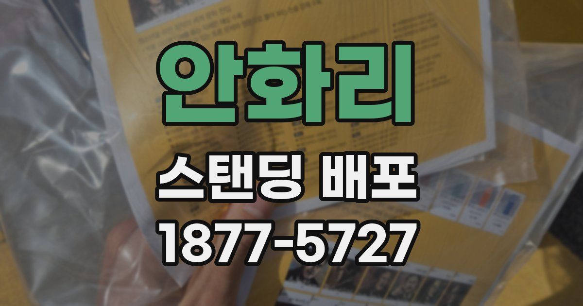 안화리 스탠딩 배포