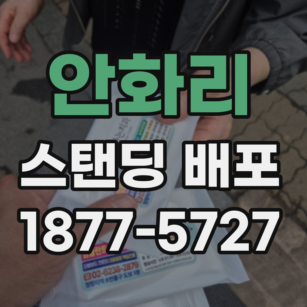 안화리 스탠딩 배포