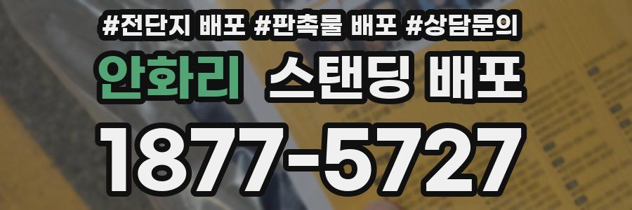 안화리 스탠딩 배포