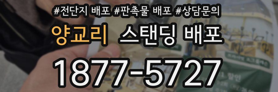 양교리 스탠딩 배포