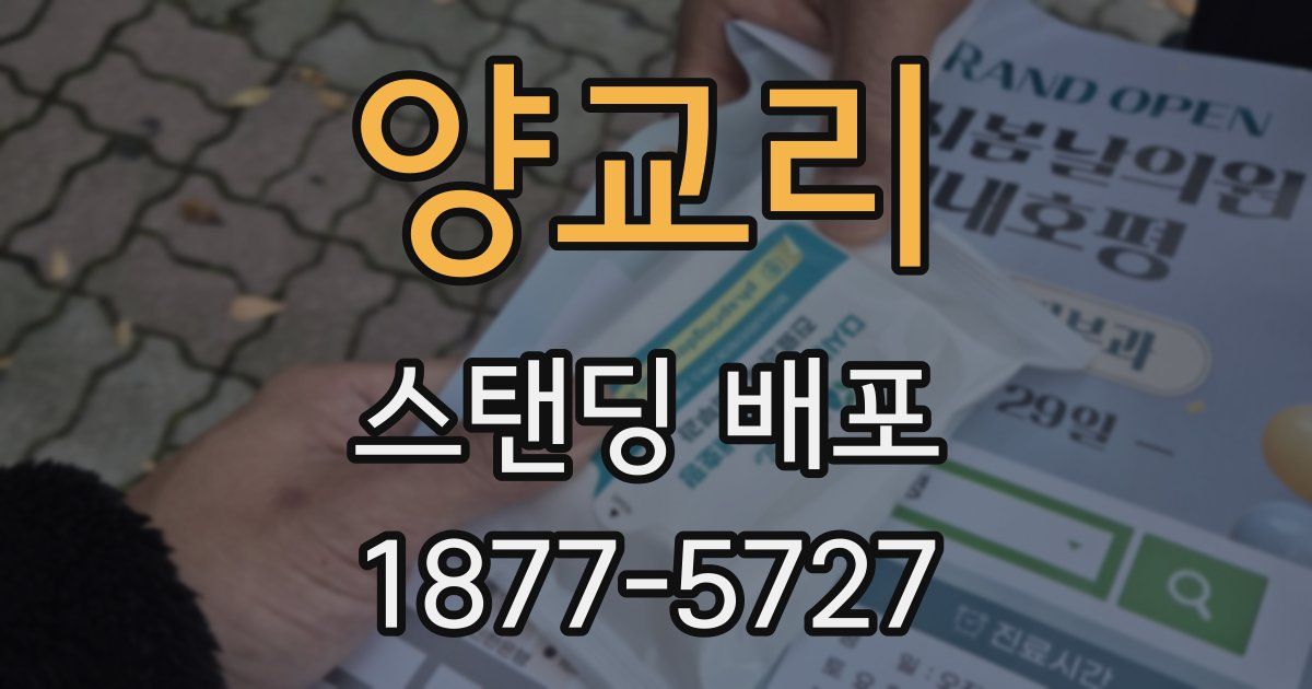 양교리 스탠딩 배포