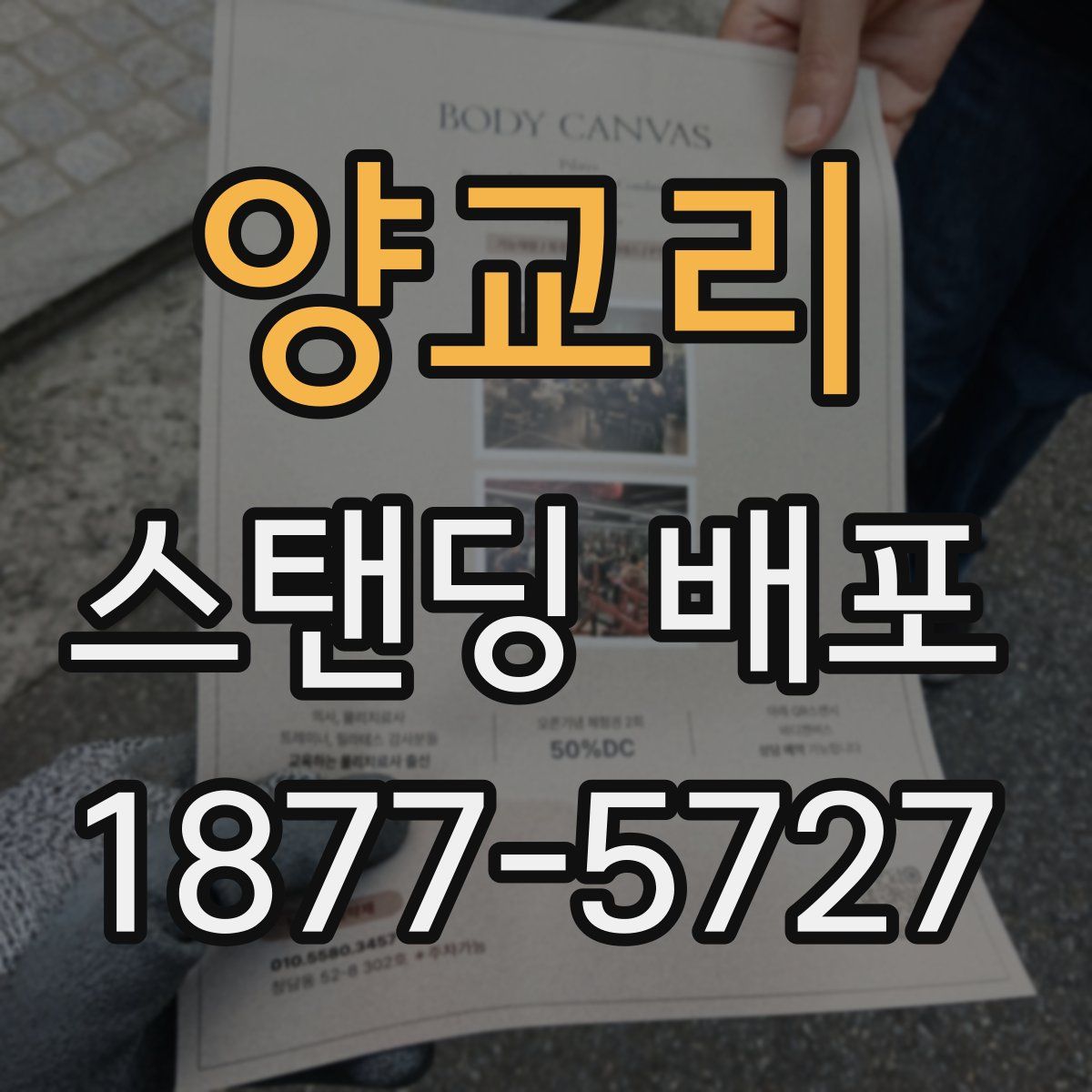 양교리 스탠딩 배포