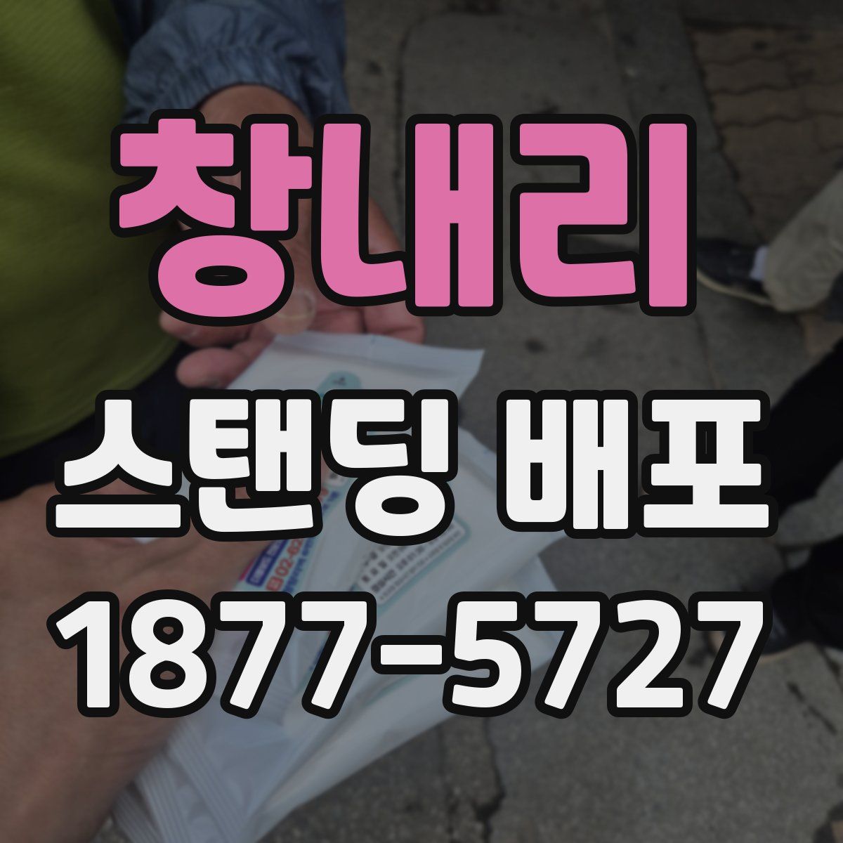 창내리 스탠딩 배포