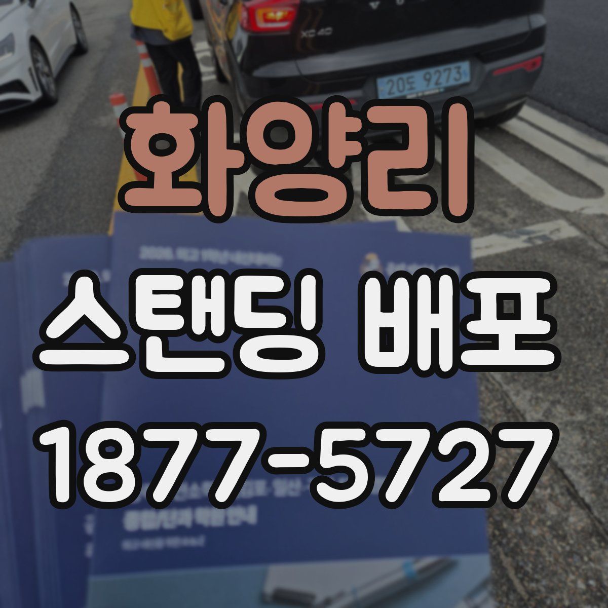 화양리 스탠딩 배포