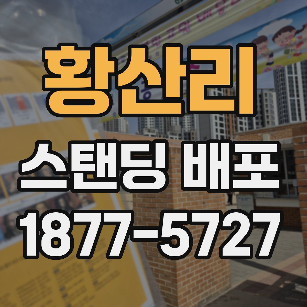 황산리 스탠딩 배포