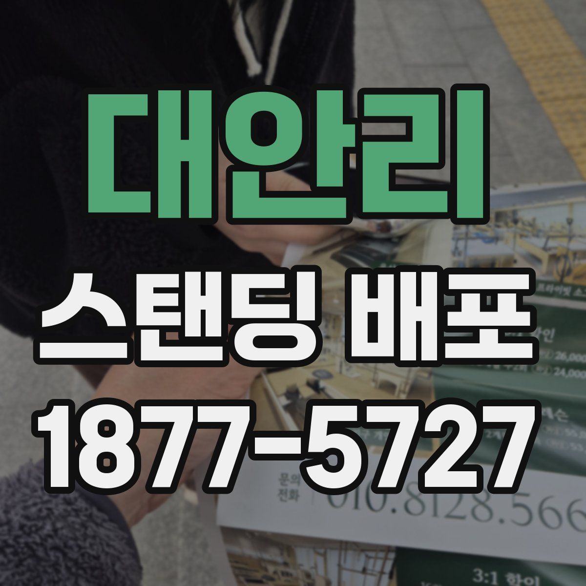 대안리 스탠딩 배포