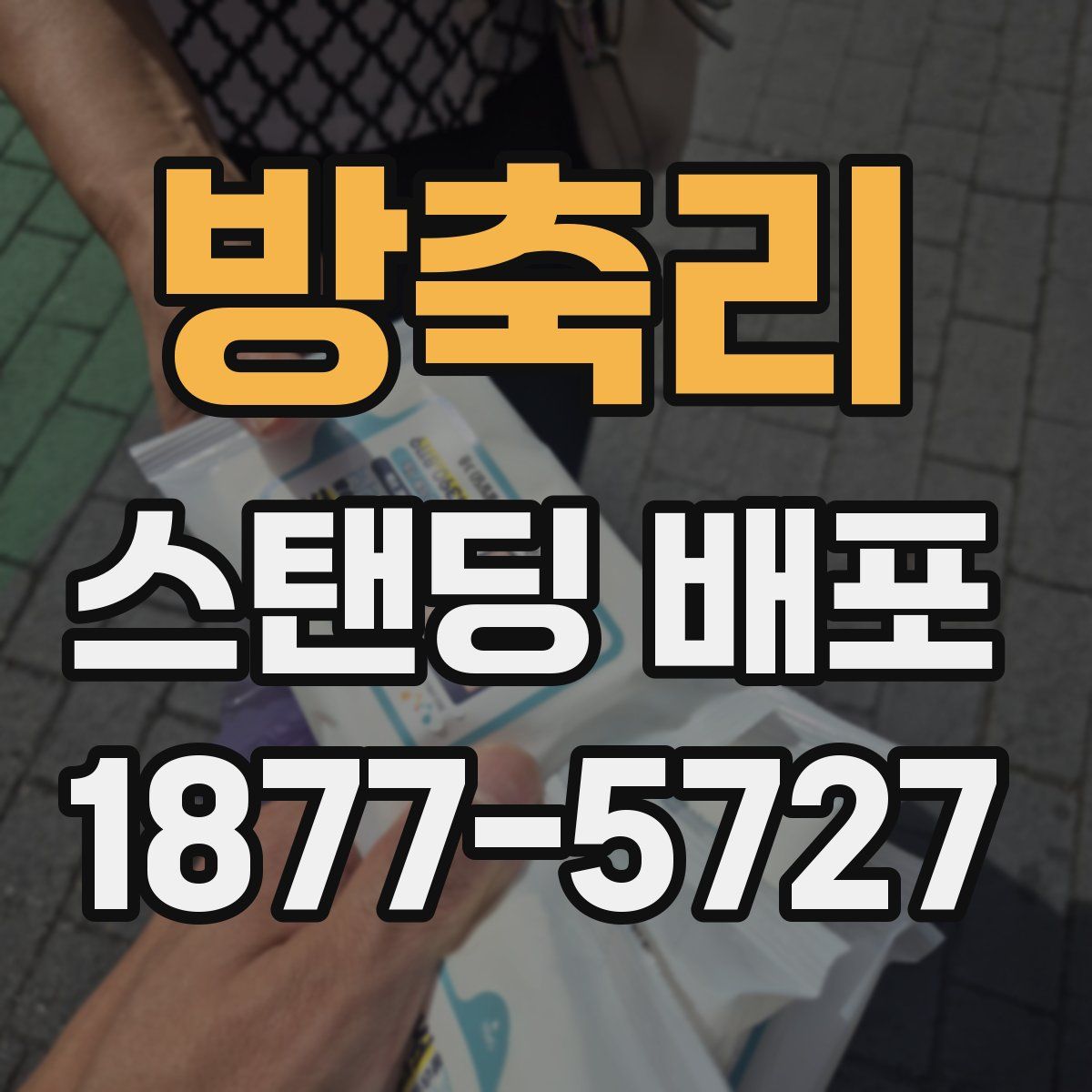방축리 스탠딩 배포