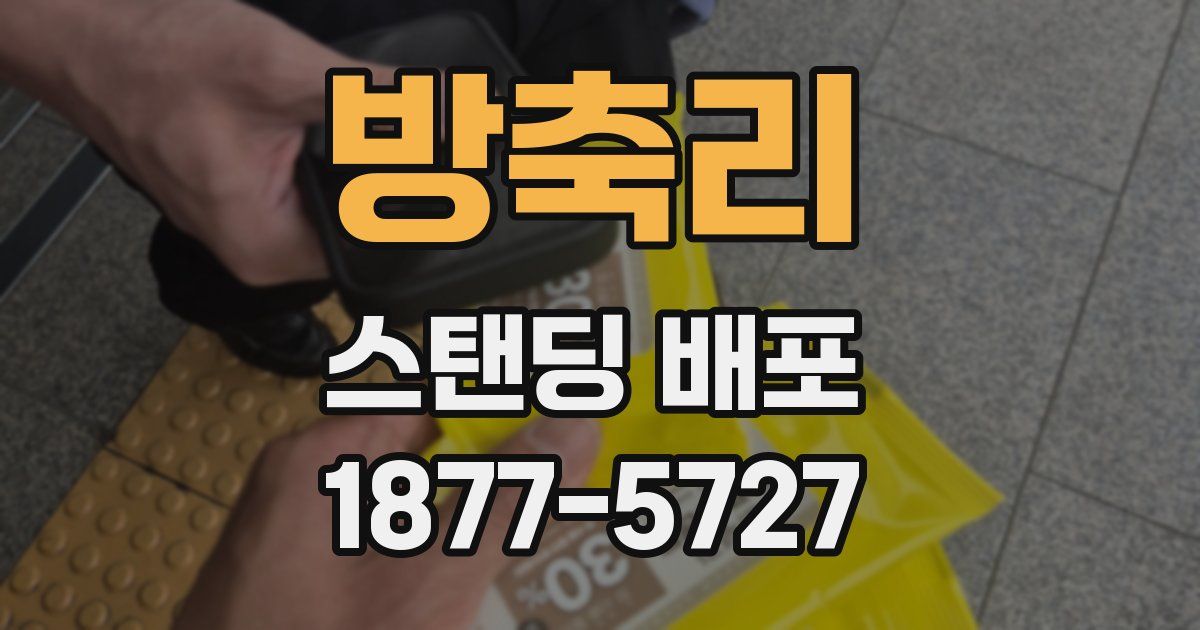 방축리 스탠딩 배포