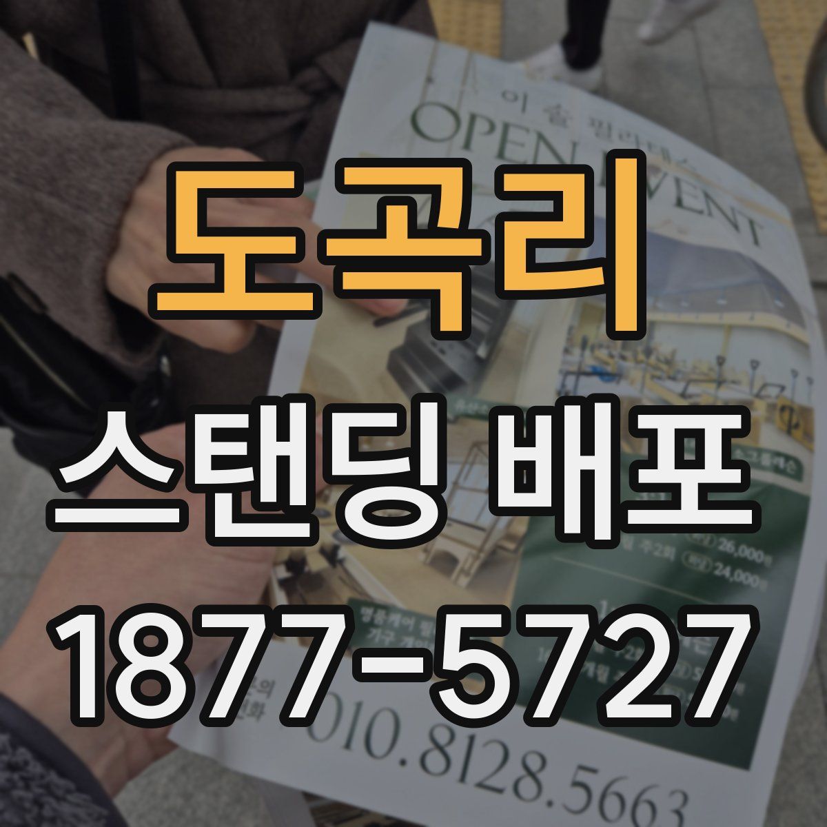 도곡리 스탠딩 배포
