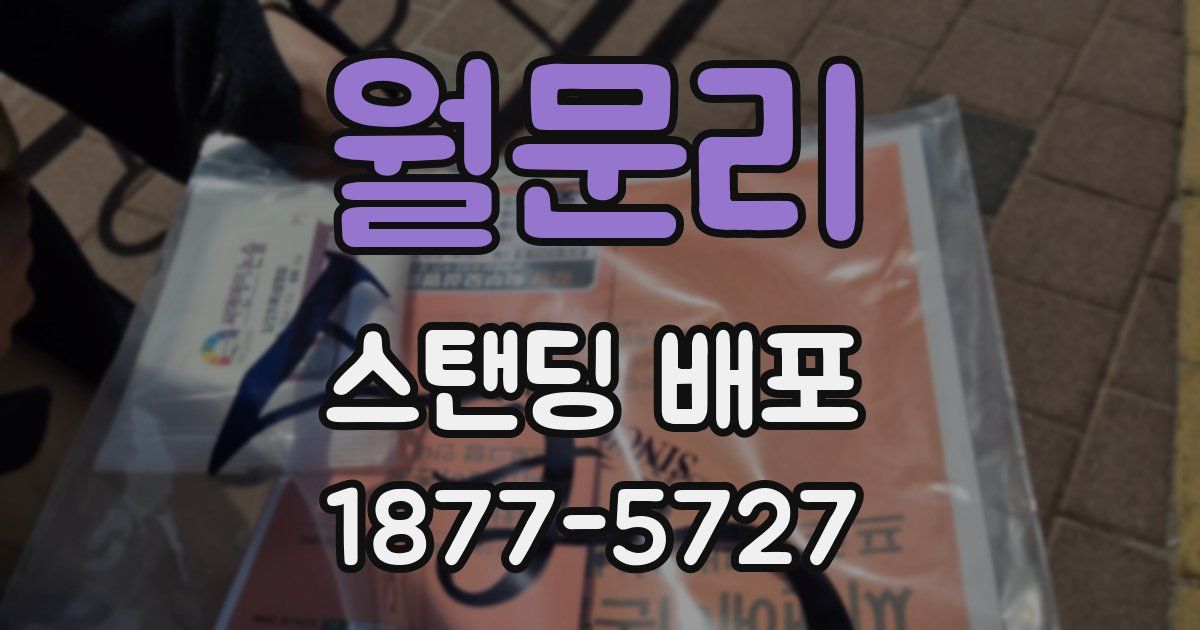 월문리 스탠딩 배포