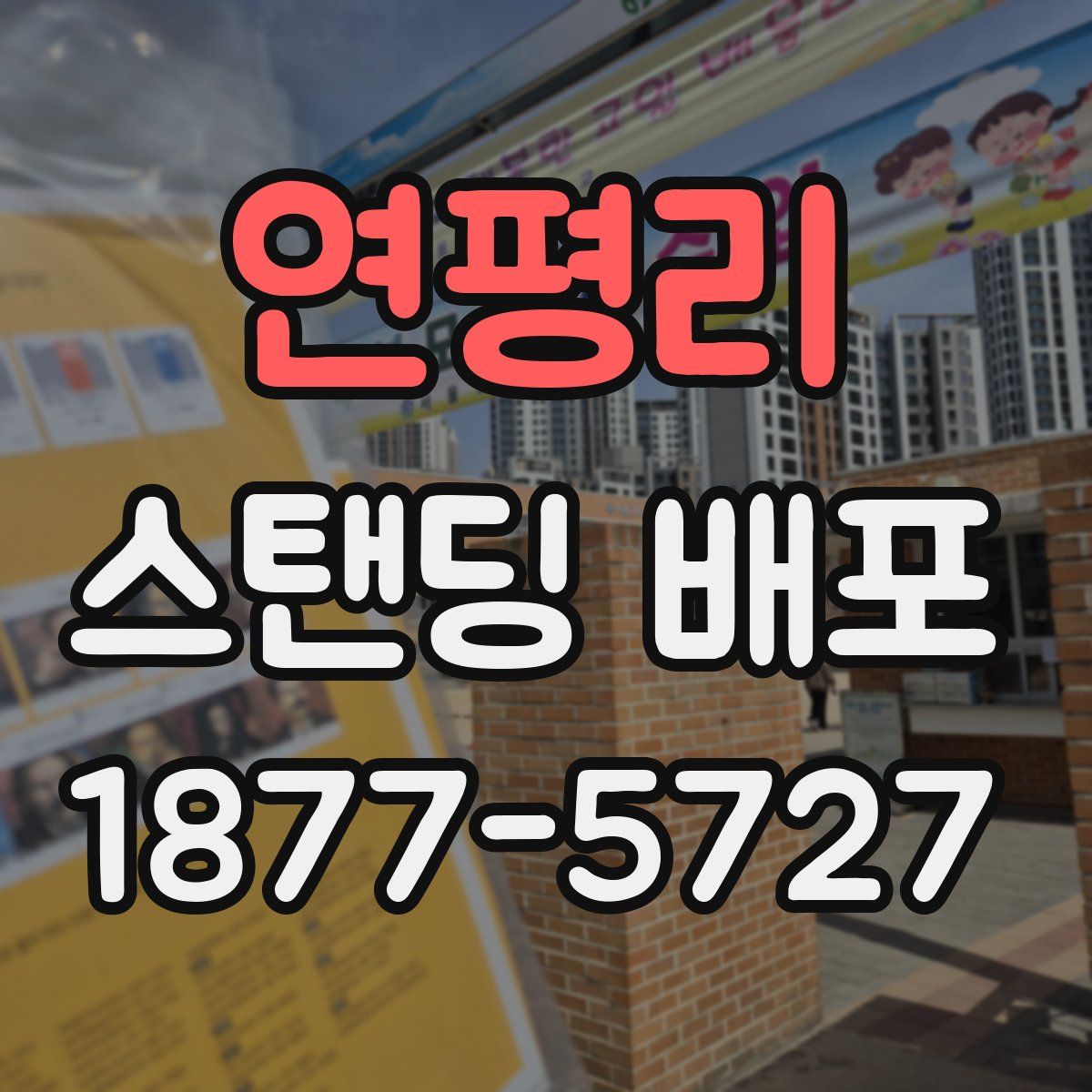 연평리 스탠딩 배포
