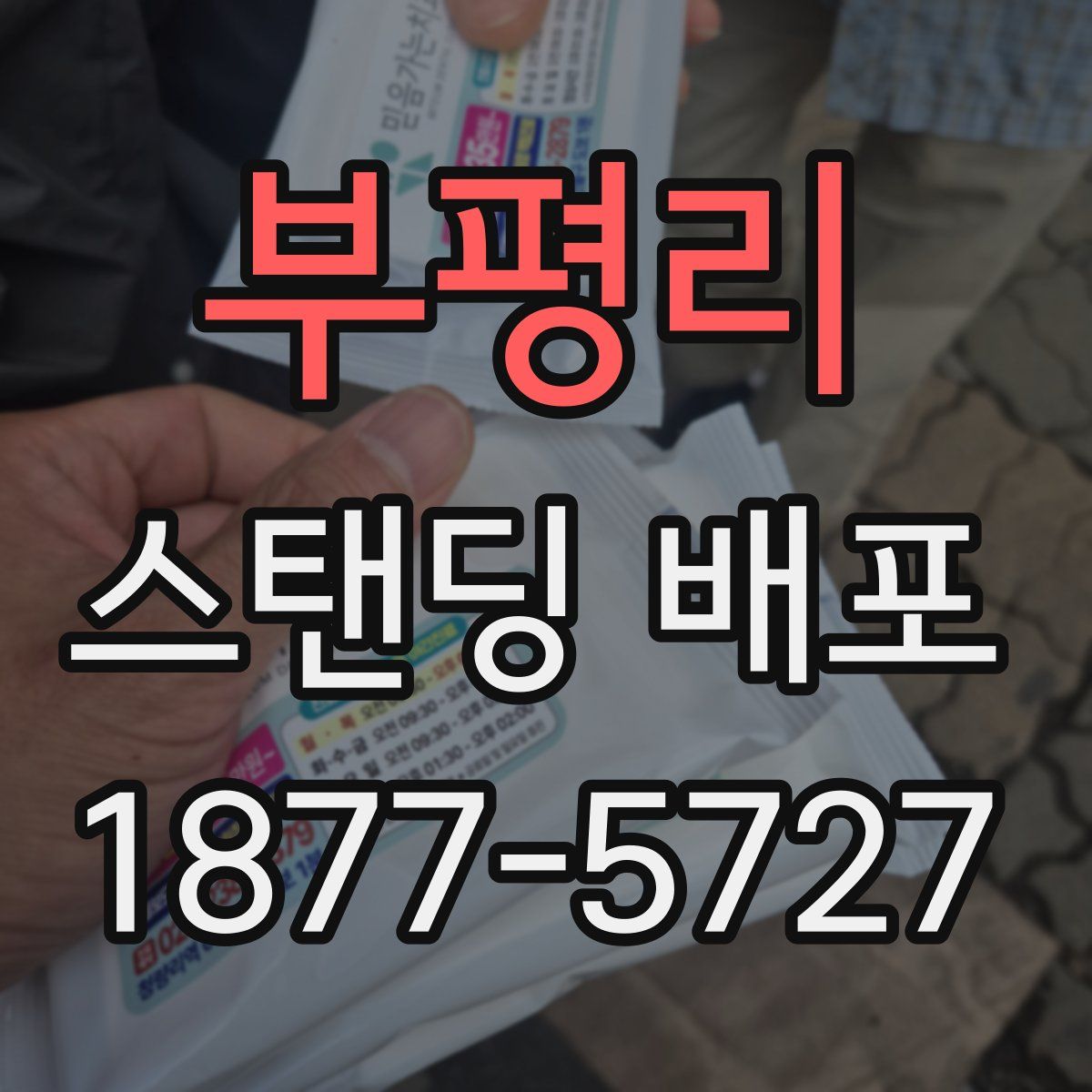 부평리 스탠딩 배포