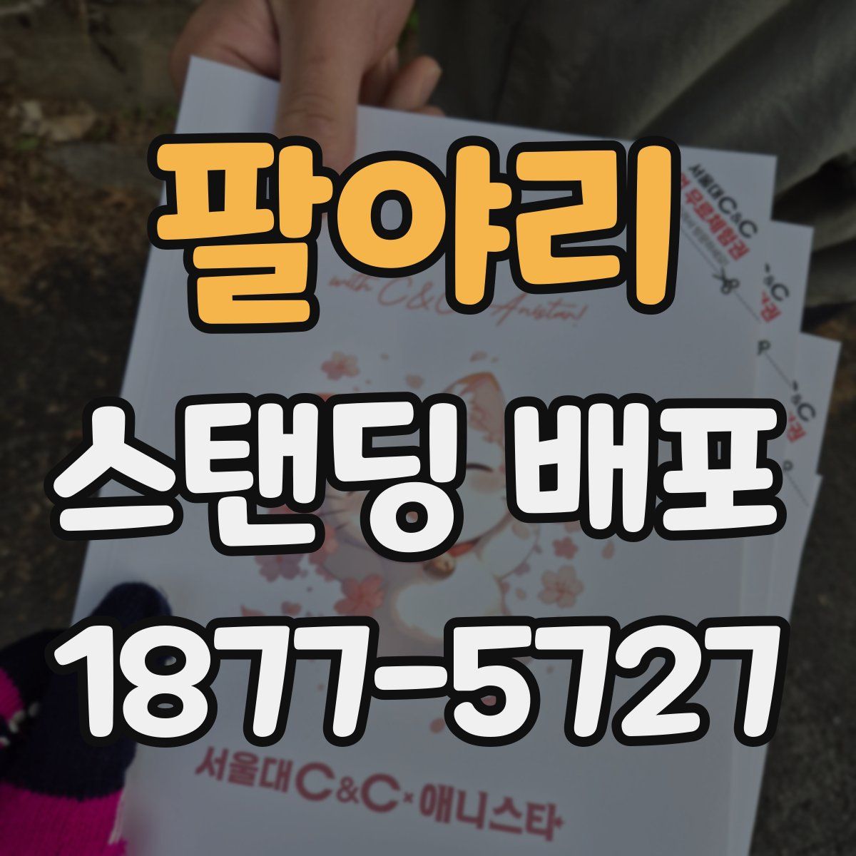 팔야리 스탠딩 배포