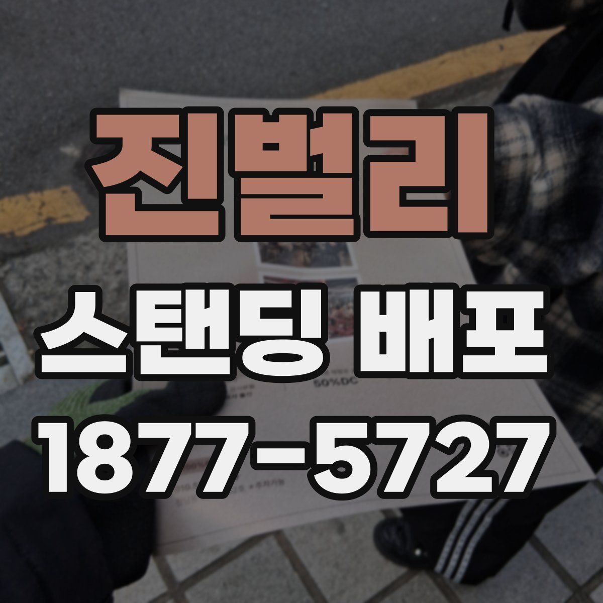 진벌리 스탠딩 배포