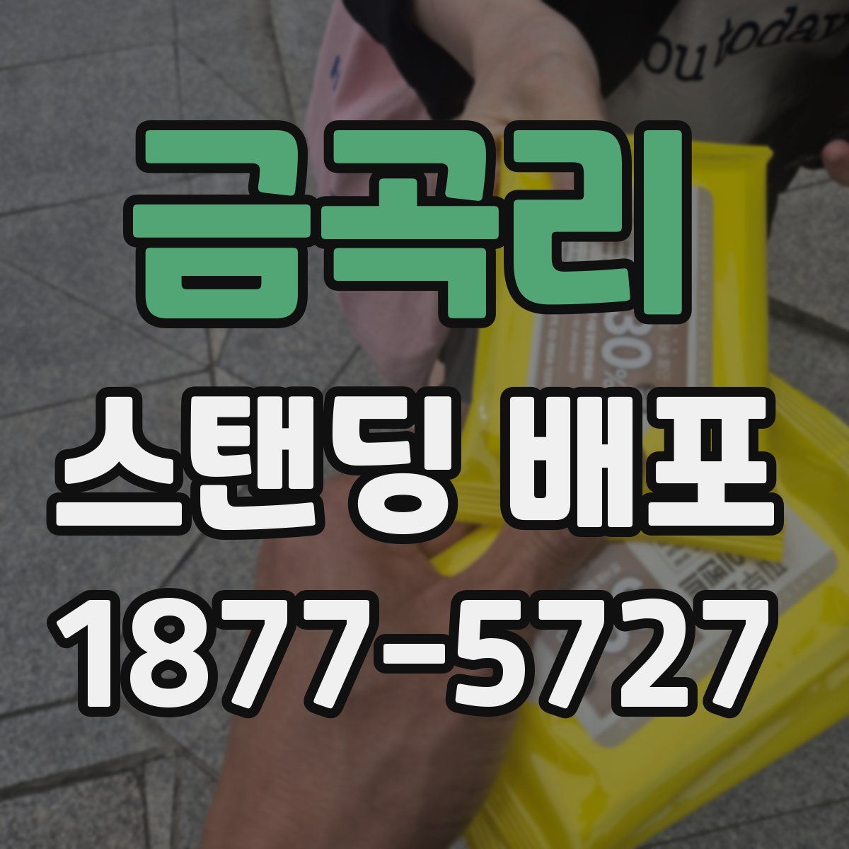 금곡리 스탠딩 배포