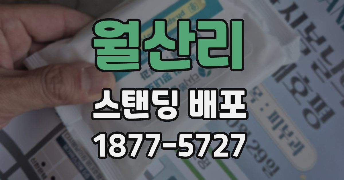 월산리 스탠딩 배포