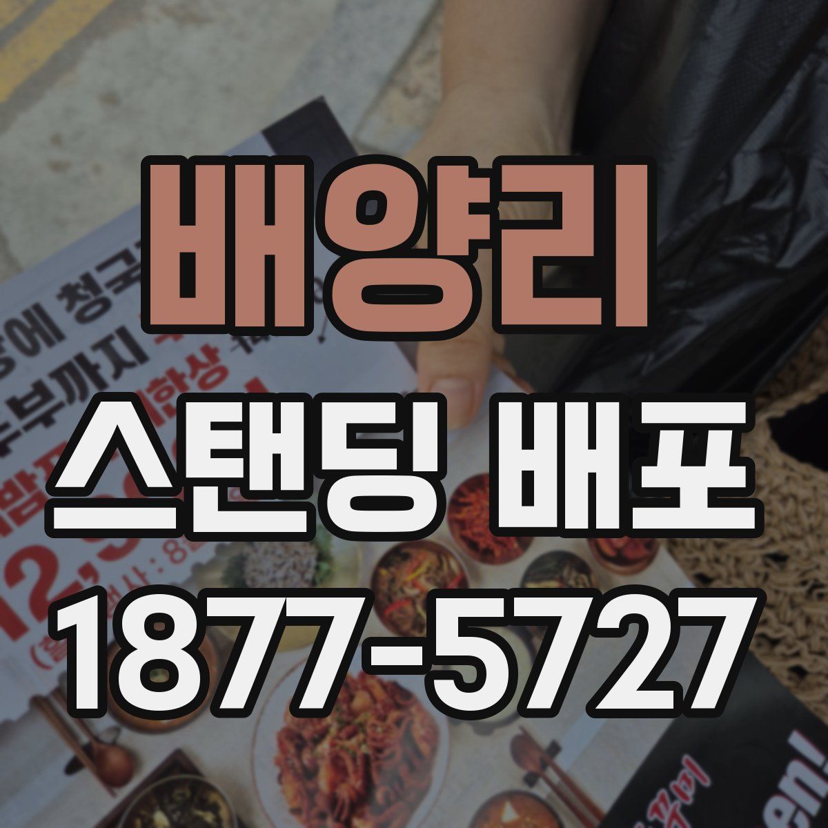 배양리 스탠딩 배포