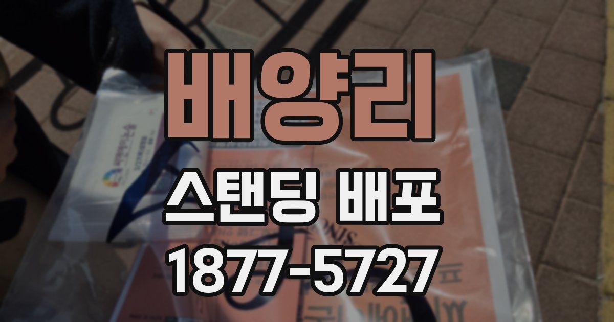 배양리 스탠딩 배포
