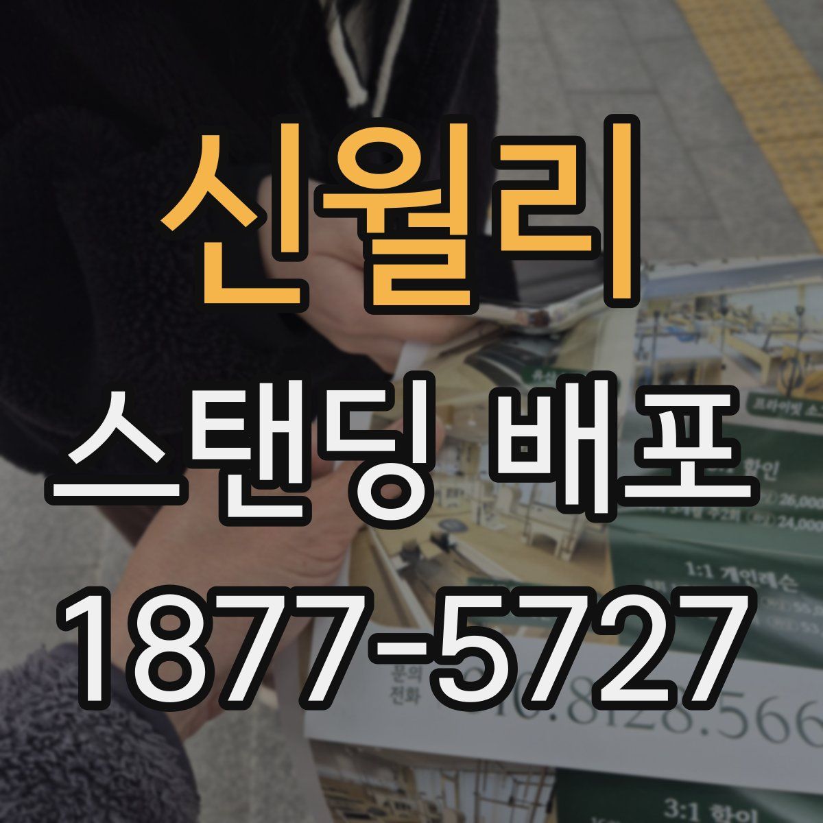 신월리 스탠딩 배포