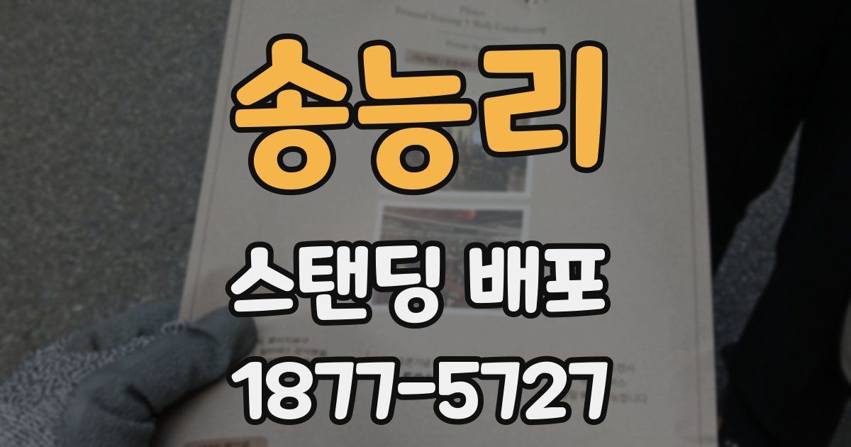 송능리 스탠딩 배포