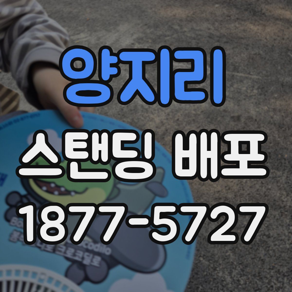 양지리 스탠딩 배포