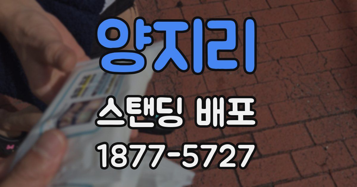 양지리 스탠딩 배포