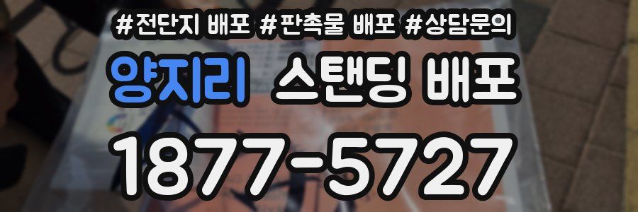 양지리 스탠딩 배포
