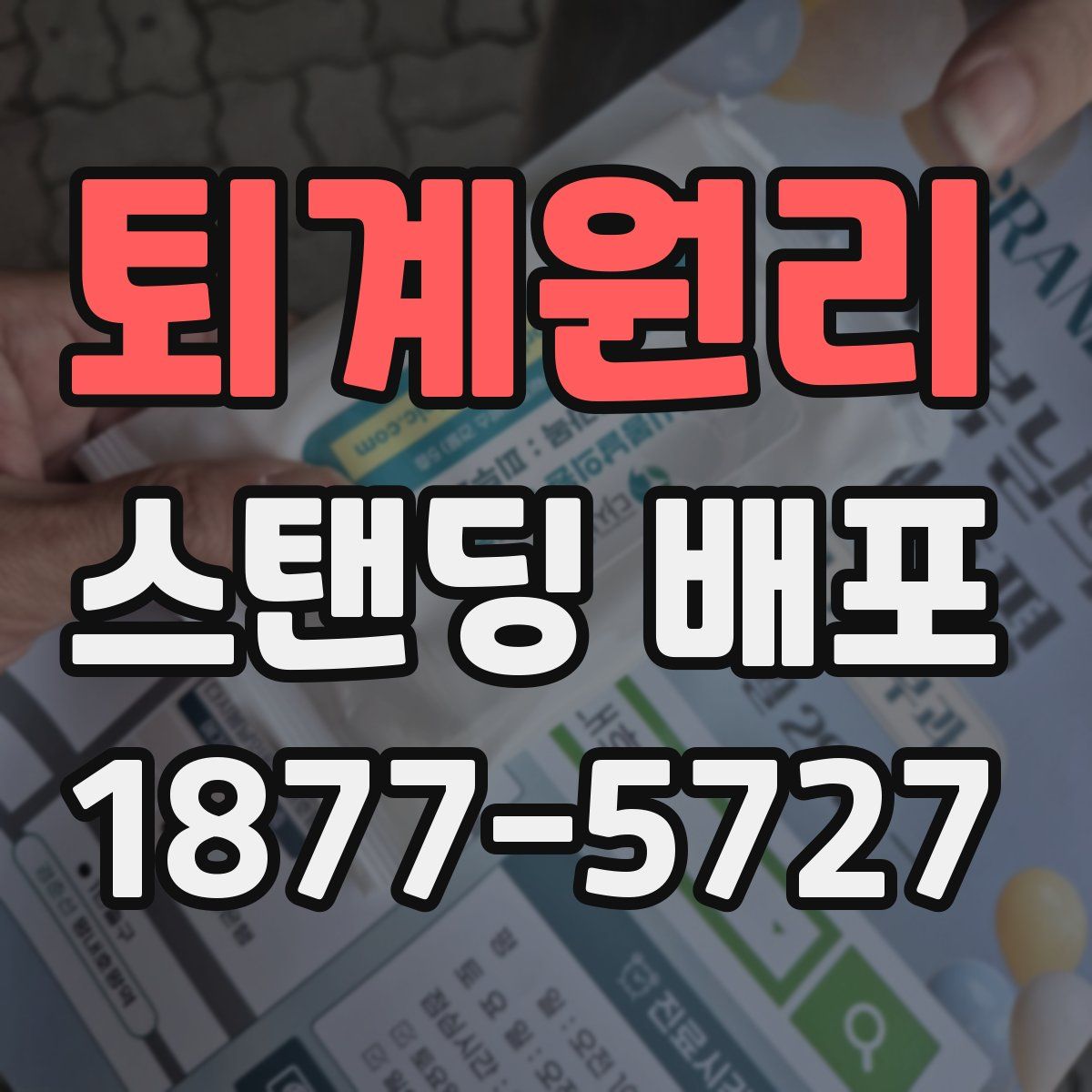 퇴계원리 스탠딩 배포