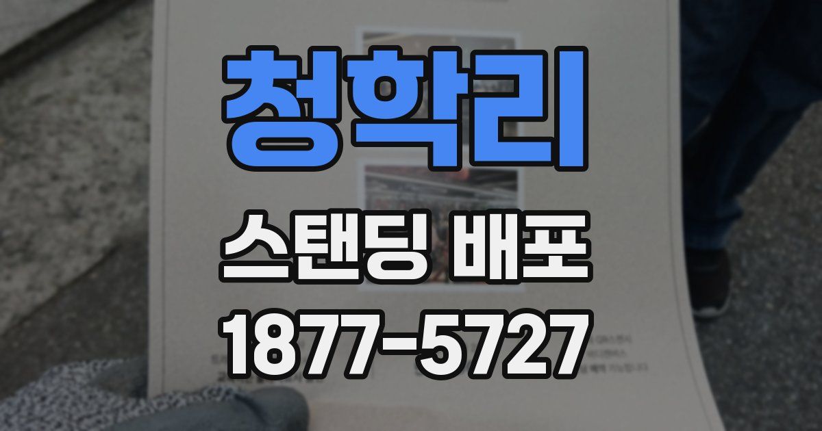 청학리 스탠딩 배포
