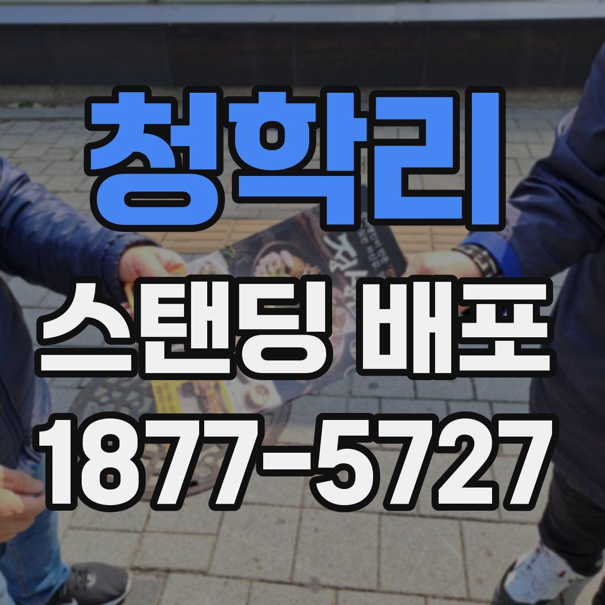 청학리 스탠딩 배포