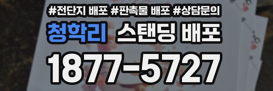 청학리 스탠딩 배포