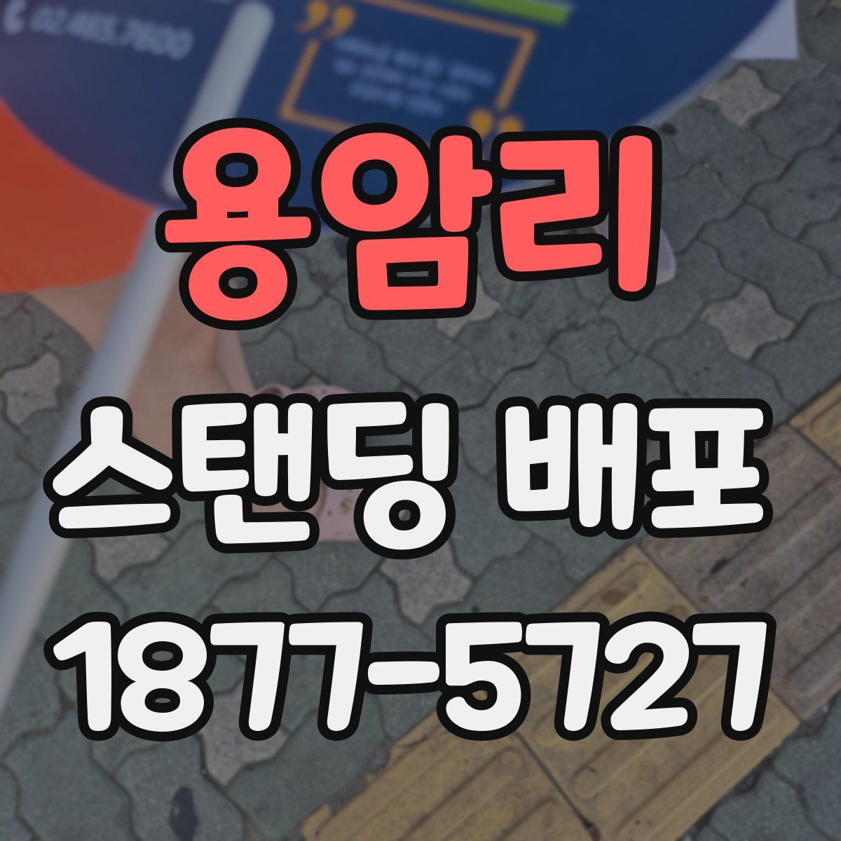 용암리 스탠딩 배포