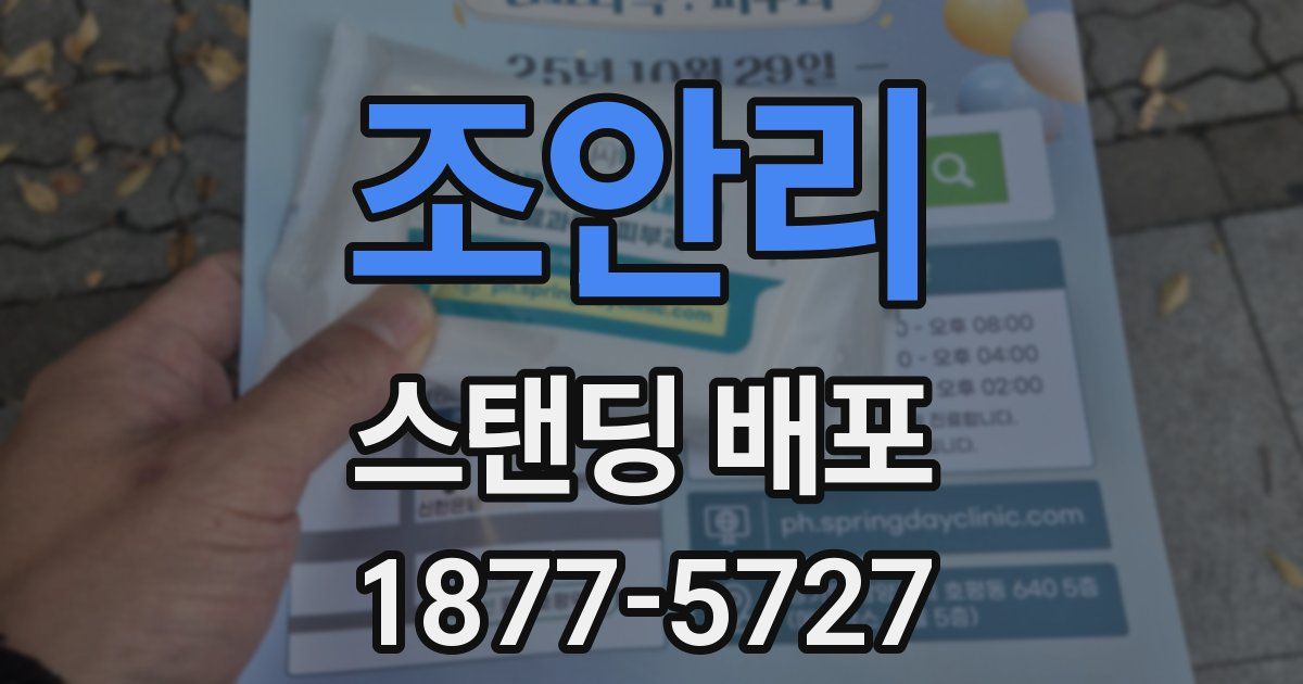 조안리 스탠딩 배포